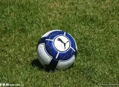 杨瀚森新赛,季第五战传,两噩耗,易币付网页版,易币付app下载,易币付app