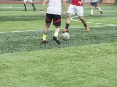 孟买,指数股票现,易币付,易币付网页版,易币付app下载,易币付app