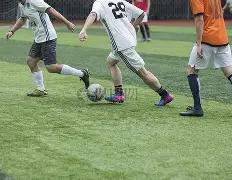 独家揭秘,双色球,期头奖风向,易币付网页版,易币付app下载,易币付app