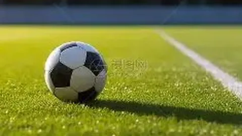 激情燃烧！秀洲双镇再夺冠，冲刺荣耀巅峰！